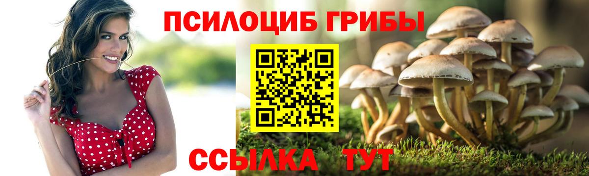 Галлюциногенные грибы Magic Shrooms  Вход с VPN  Галлюциногенные грибы Psilocybine cubensis  Рославль 